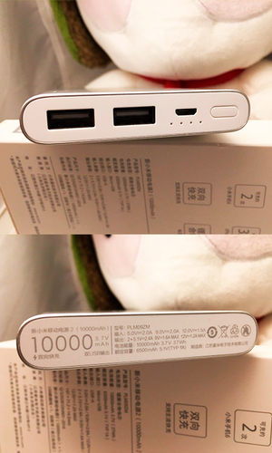 Внешний аккумулятор Xiaomi Mi Power Bank 2i 10000 2018 PLM09ZM MicroUSB серебро фото №2